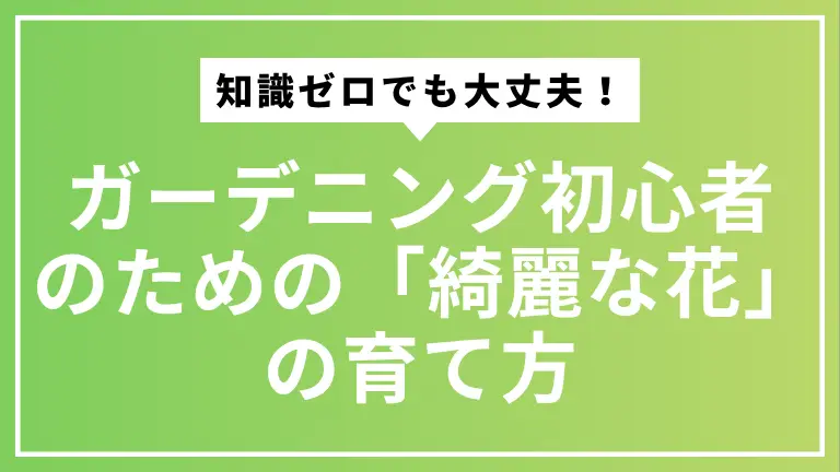 知識ゼロでも大丈夫！ガーデニング初心者のための「綺麗な花」の育て方