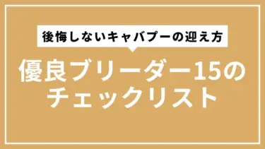 後悔しないキャバプーの迎え方｜優良ブリーダー15のチェックリスト