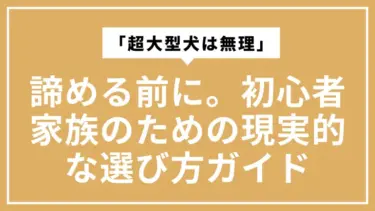 「超大型犬は無理」と諦める前に。初心者家族のための現実的な選び方ガイド