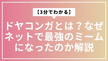 【3分でわかる】ドヤコンガとは？なぜネットで最強のミームになったのか解説