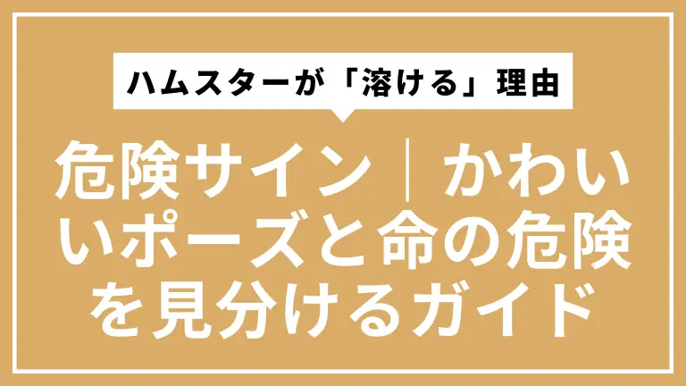 ハムスターが「溶ける」理由と危険サイン｜かわいいポーズと命の危険を見分けるガイド