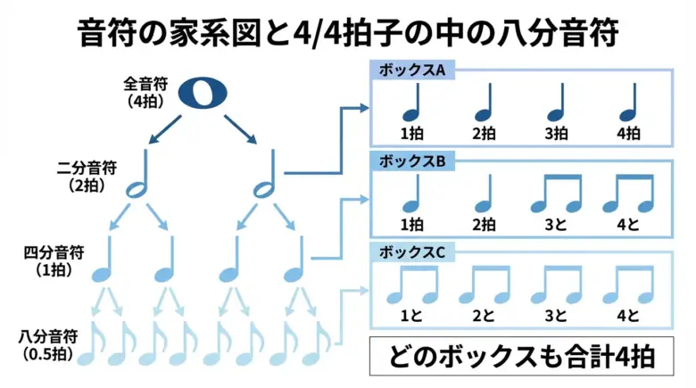 全音符から八分音符までの長さと4/4拍子の関係を図解する