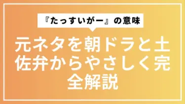 『たっすいがー』の意味と元ネタを朝ドラと土佐弁からやさしく完全解説