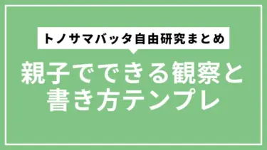 トノサマバッタ自由研究のまとめ方｜親子でできる観察と書き方テンプレ