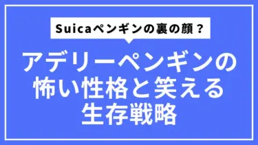 Suicaペンギンの裏の顔？アデリーペンギンの怖い性格と笑える生存戦略