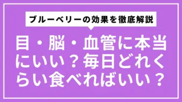 ブルーベリーの効果を徹底解説｜目・脳・血管に本当にいい？毎日どれくらい食べればいい？