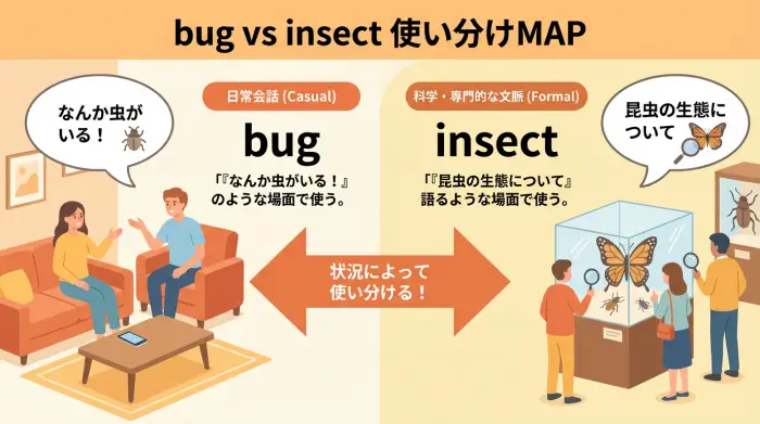 bugとinsectの使い分けを説明するインフォグラフィック
