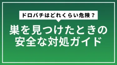 ドロバチはどれくらい危険？巣を見つけたときの安全な対処ガイド