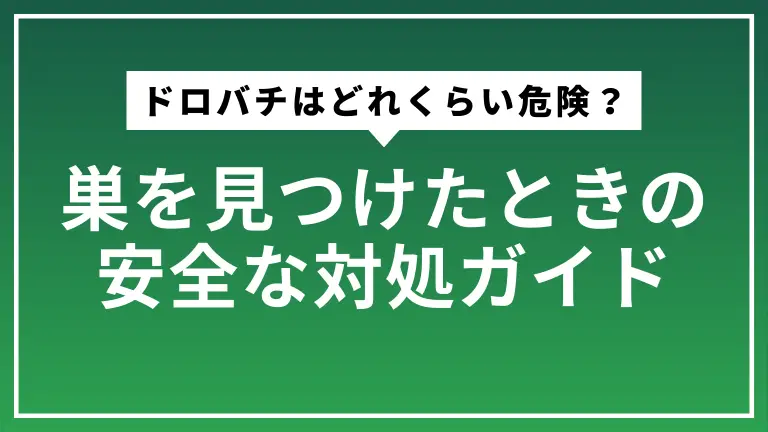 ドロバチはどれくらい危険？巣を見つけたときの安全な対処ガイド