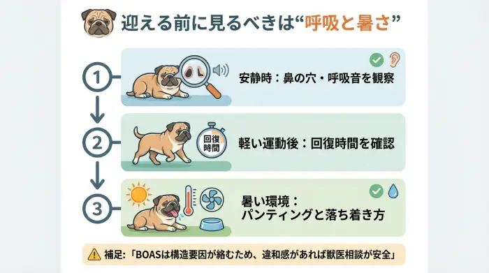 エキゾチックブリーの呼吸と暑さを購入前に確認する3ステップ