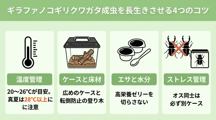 ギラファノコギリクワガタ成虫の寿命を伸ばすために必要な温度管理・ケース・エサ・ストレス管理を整理した図解