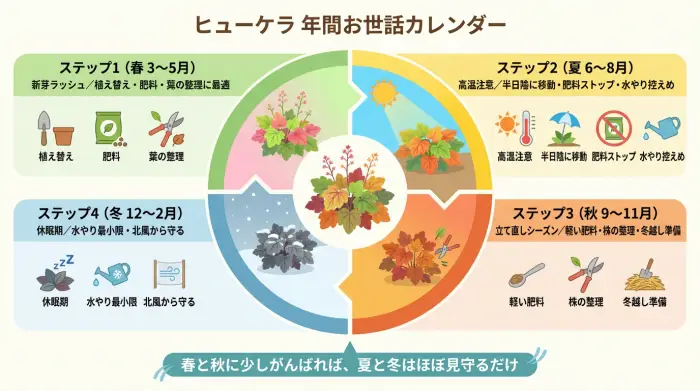 ヒューケラを春夏秋冬でどのように管理すればよいかを示した年間お世話カレンダー図解