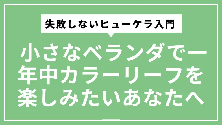日陰ベランダでも失敗しないヒューケラ入門 ― 小さなベランダで一年中カラーリーフを楽しみたいあなたへ ―