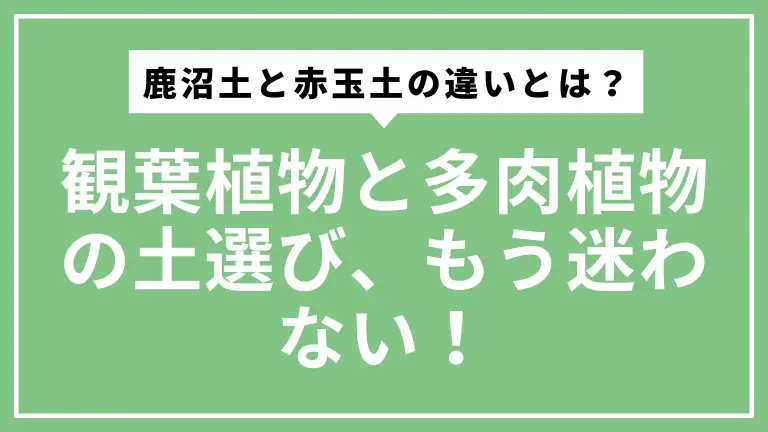 【初心者向け】鹿沼土と赤玉土の違いとは？観葉植物と多肉植物の土選び、もう迷わない！