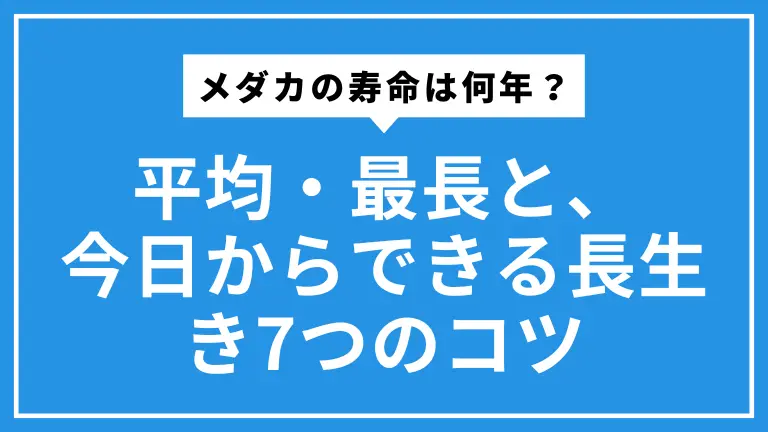 メダカの寿命は何年？平均・最長と、今日からできる長生き7つのコツ