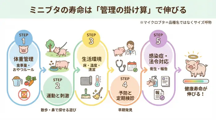 ミニブタの寿命を左右する体重管理・運動・環境・予防・法令対応の5要素を示した図