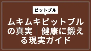 ムキムキピットブルの真実｜健康に鍛える現実ガイド