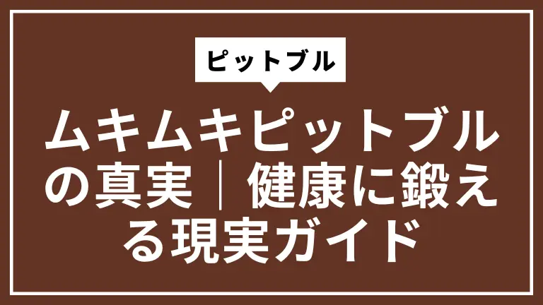 ムキムキピットブルの真実｜健康に鍛える現実ガイド