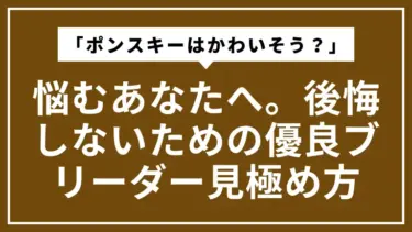 「ポンスキーはかわいそう？」で悩むあなたへ。後悔しないための優良ブリーダー見極め方