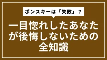 ポンスキーは「失敗」？一目惚れしたあなたが後悔しないための全知識