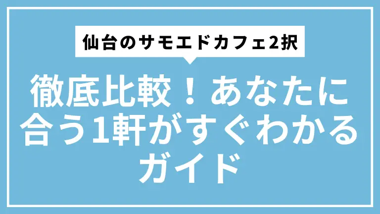 仙台のサモエドカフェ2択を徹底比較！あなたに合う1軒がすぐわかるガイド