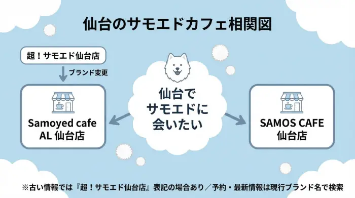仙台でサモエドに会える2つのカフェブランドと、超！サモエドからSamoyed cafe AL仙台店へのブランド変更を示す相関図