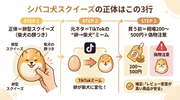 シバコ犬スクイーズの正体・元ネタ・買う前の注意点を3ステップでまとめた図解