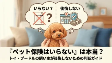 『ペット保険はいらない』は本当？トイ・プードルの飼い主が後悔しないための判断ガイド