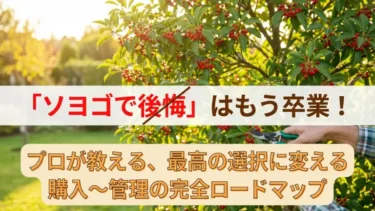 「ソヨゴで後悔」はもう卒業！プロが教える、最高の選択に変える購入〜管理の完全ロードマップ