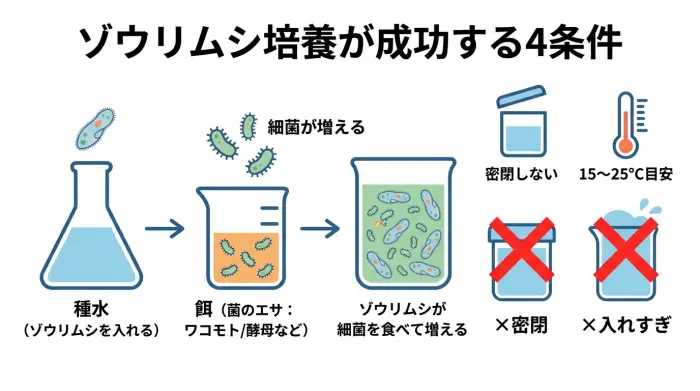 ゾウリムシ培養が成功する条件（種水・餌・酸素・温度）の関係図