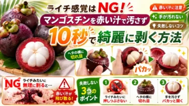 ライチ感覚はNG！マンゴスチンを赤い汁で汚さず10秒で綺麗に剥く方法