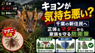 キョンが「気持ち悪い」と怯える千葉県の新住民へ。正体とマダニから家族を守る防衛策