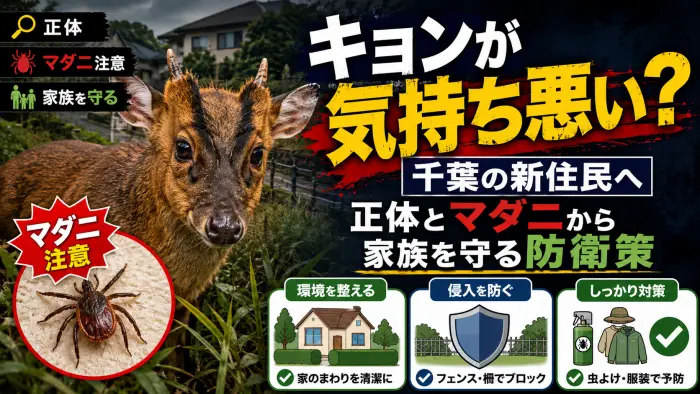 キョンが「気持ち悪い」と怯える千葉県の新住民へ。正体とマダニから家族を守る防衛策