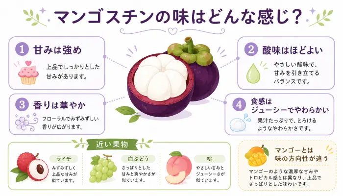 マンゴスチンの味を甘み・酸味・香り・食感・似ている果物で図解したイメージマップ