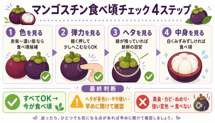 マンゴスチンの食べ頃を色、弾力、ヘタ、中身の4ステップで確認する図解。