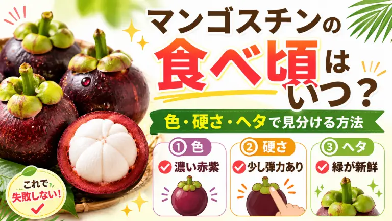 マンゴスチンの食べ頃はいつ？色・硬さ・ヘタで見分ける方法