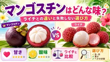 マンゴスチンはどんな味？ライチとの違いと失敗しない選び方