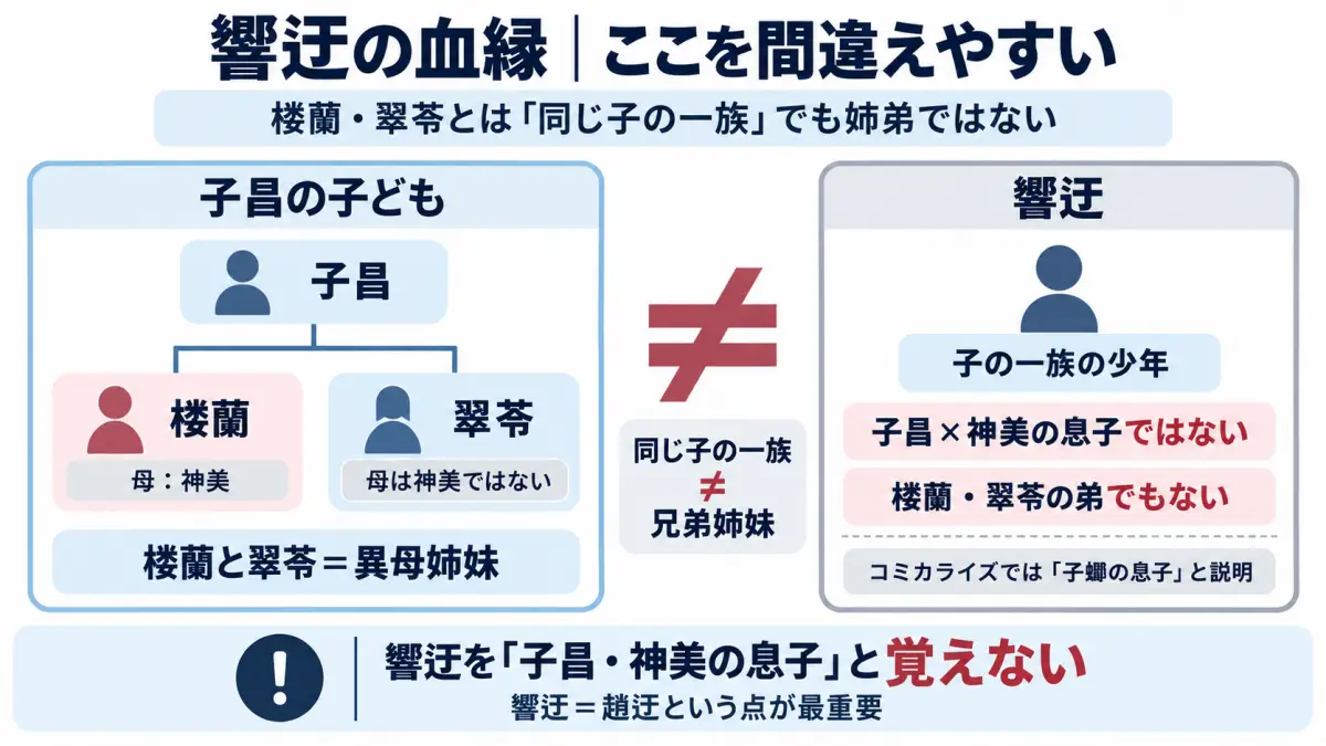 薬屋のひとりごとの響迂は子昌と神美の息子ではなく楼蘭や翠苓とも姉弟ではないことを整理した図解